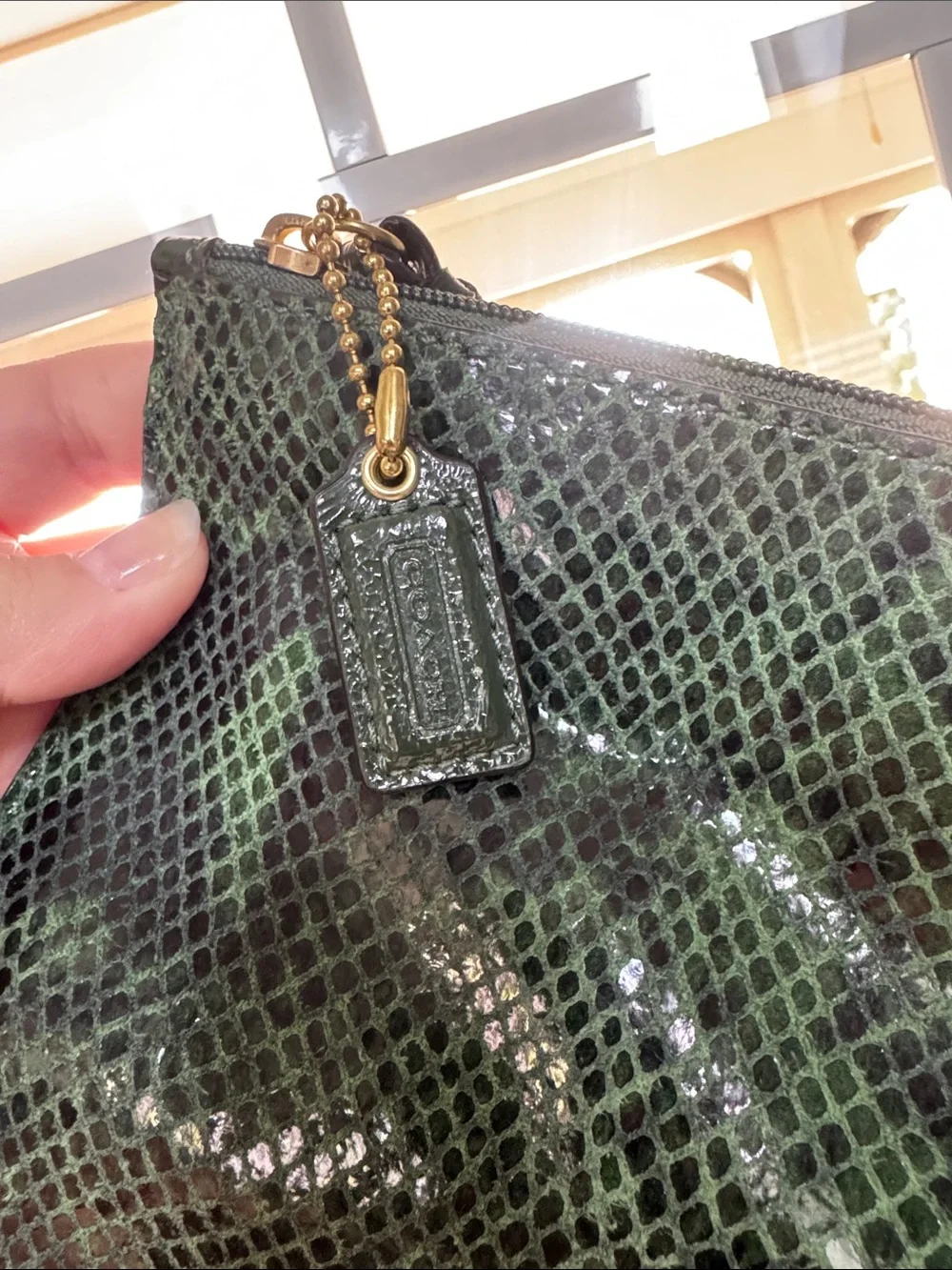 Coach Dark Green Python Snakeskin Print Leather Tech Bag Clutch